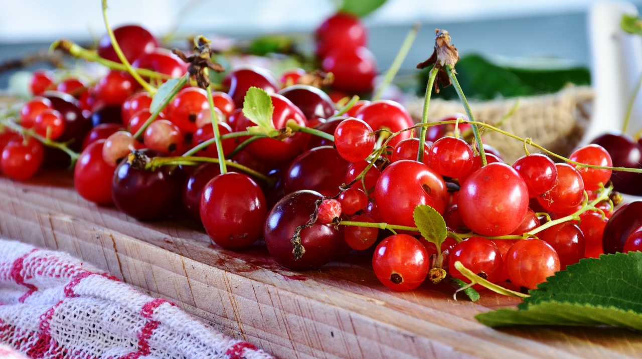 Rasas, los seis sabores – Pyp News